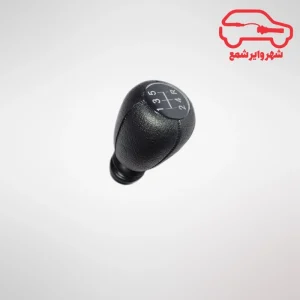 سر دنده زانتیا