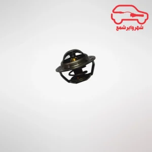 ترموستات زانتیا