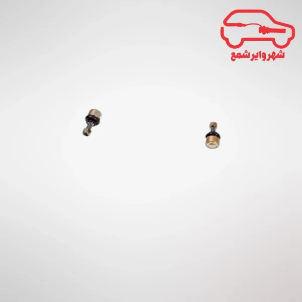 سیبک تعادل (موجگیر) زانتیا