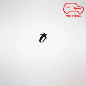 خار زه درب زانتیا