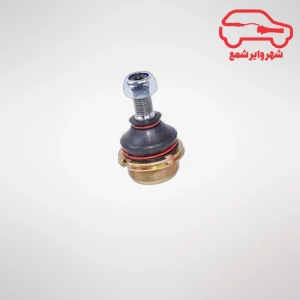 سیبک زیر کمک زانتیا