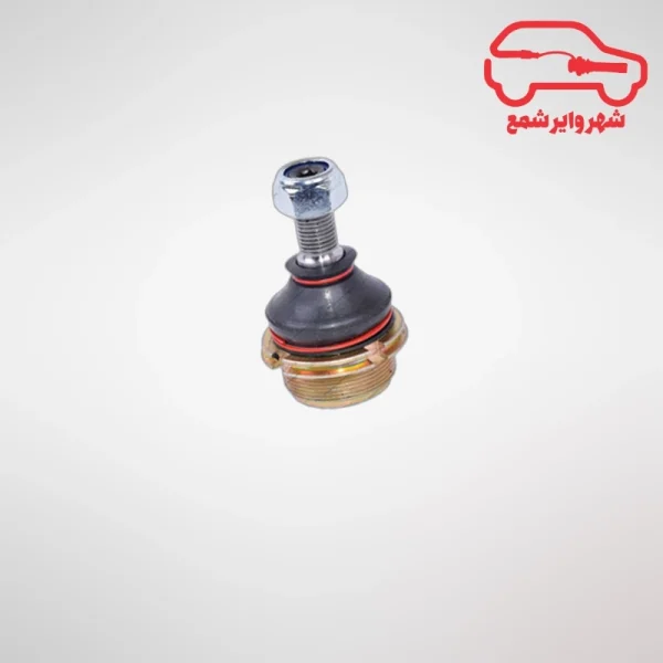 سیبک زیر کمک زانتیا