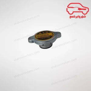در رادیاتور آب جک S5