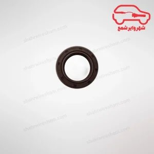 کاسه نمد پمپ روغن جک S5