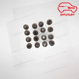 کاسه نمد ساق سوپاپ جک J5