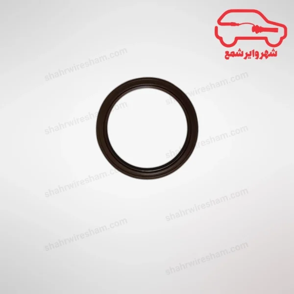 کاسه نمد عقب میل لنگ ام وی ام X22